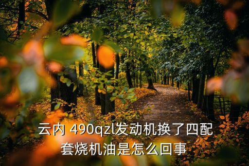  云内 490qzl发动机换了四配套烧机油是怎么回事