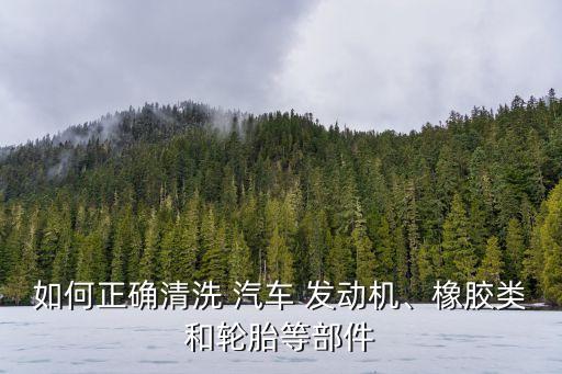 如何正确清洗 汽车 发动机、橡胶类和轮胎等部件