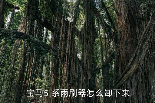 宝马5系雨刮片怎么换