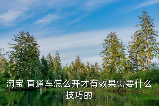 新手开直通车怎么开,淘宝的17种免费推广方法