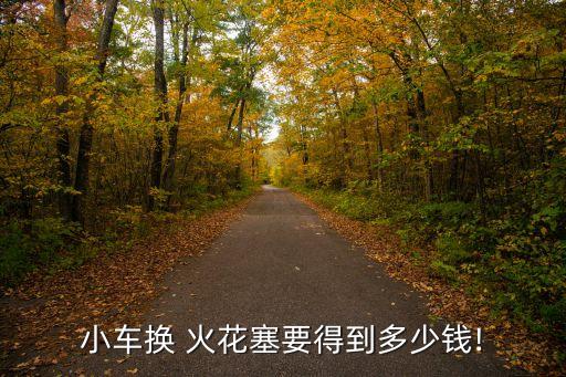 小车换 火花塞要得到多少钱!