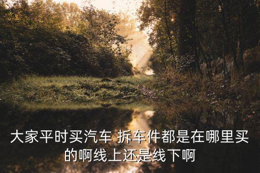 大家平时买汽车 拆车件都是在哪里买的啊线上还是线下啊