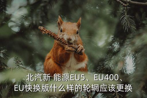  北汽新 能源EU5、EU400、EU快换版什么样的轮辋应该更换