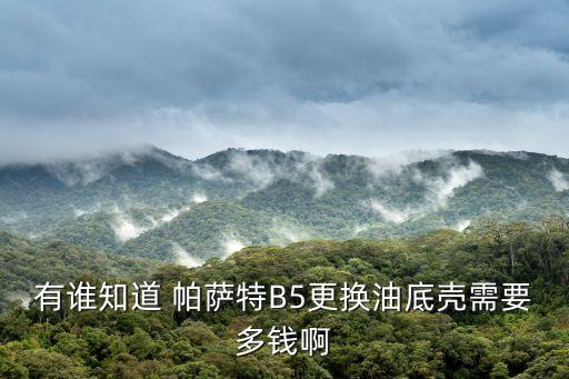 有谁知道 帕萨特B5更换油底壳需要多钱啊