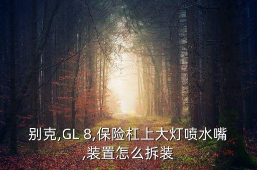 别克,GL 8,保险杠上大灯喷水嘴,装置怎么拆装