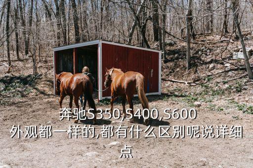 奔驰s350后备箱升降器是什么样的