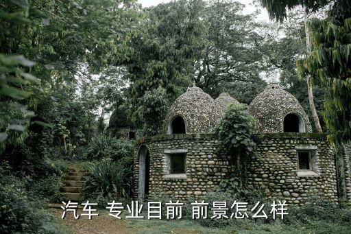汽车 专业目前 前景怎么样