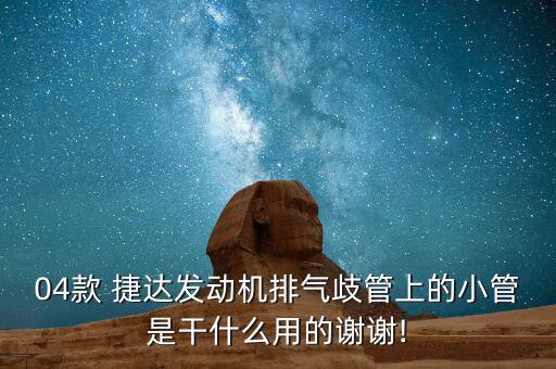 04款 捷达发动机排气歧管上的小管是干什么用的谢谢!