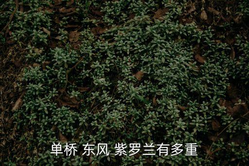 单桥 东风 紫罗兰有多重