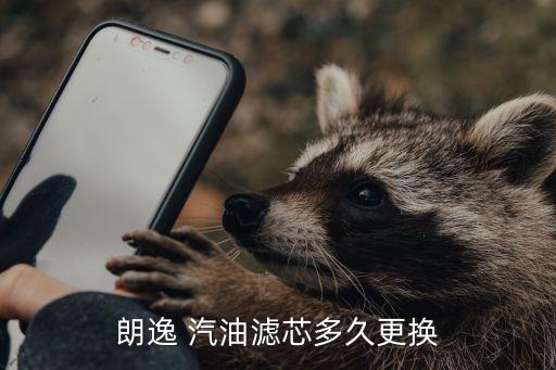 大众朗行汽油滤多少钱