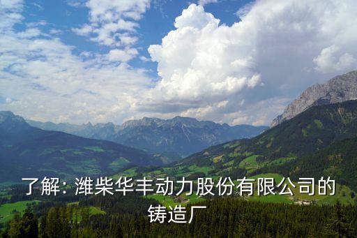 了解: 潍柴华丰动力股份有限公司的铸造厂