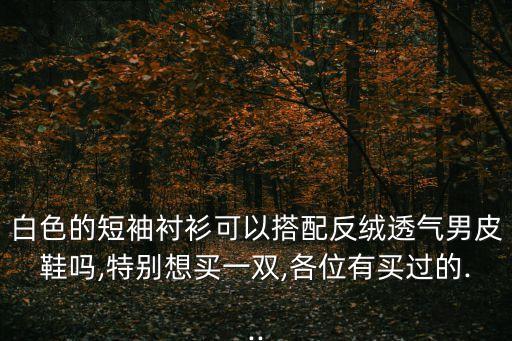 白色的短袖衬衫可以搭配反绒透气男皮鞋吗,特别想买一双,各位有买过的...