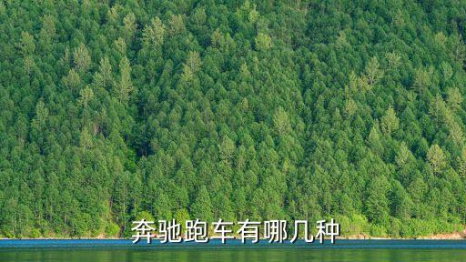 奔驰c240多少钱,C240度等于多少?