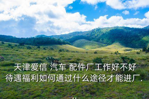 天津汽车配件那个厂子好,汽车配件厂子对身体有害吗?