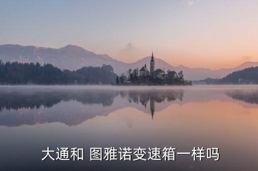  大通和 图雅诺变速箱一样吗
