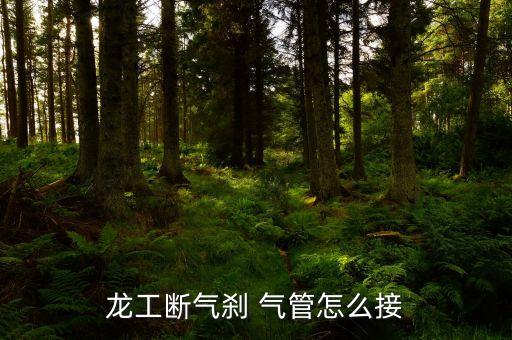龙工断气刹 气管怎么接