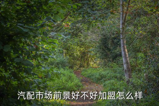  汽配市场前景好不好加盟怎么样