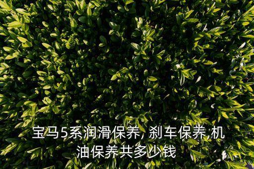 宝马换刹车油多少钱,宝马变速箱油多久换一次