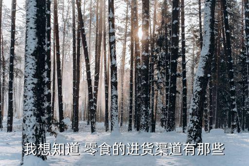 我想知道 零食的进货渠道有那些