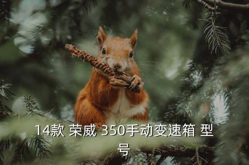 14款 荣威 350手动变速箱 型号