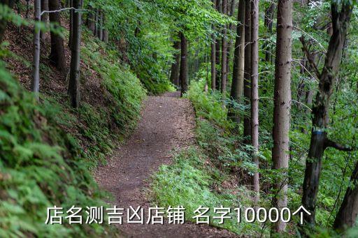 算店名字好不好名测试,算店铺名字