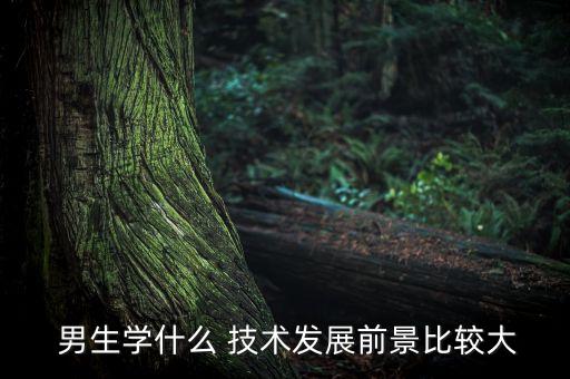  男生学什么 技术发展前景比较大