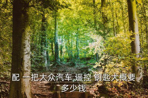 配 一把大众汽车 遥控 钥匙大概要多少钱