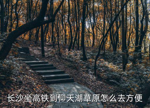 长沙坐高铁到仰天湖草原怎么去方便