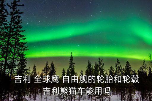 吉利全球鹰自由舰配件,12年吉利全球鹰自由舰发动机