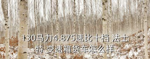 130马力4.875速比十档 法士特 变速箱货车怎么样