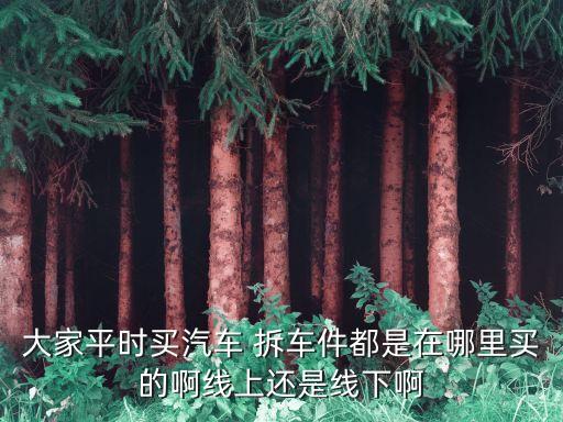 大家平时买汽车 拆车件都是在哪里买的啊线上还是线下啊