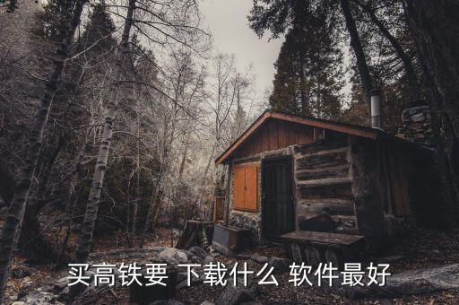 买高铁要 下载什么 软件最好