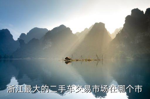 浙江最大的二手车交易市场在哪个市