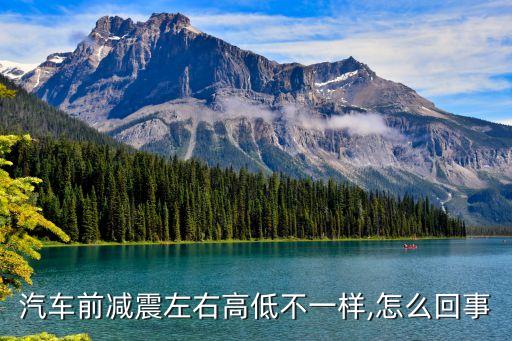 富康前减震器如何区分左右