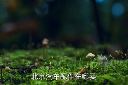 北京汽车配件在哪买