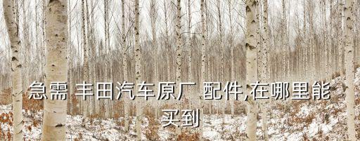 急需 丰田汽车原厂 配件,在哪里能买到