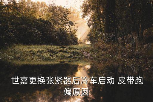  世嘉更换张紧器后冷车启动 皮带跑偏原因