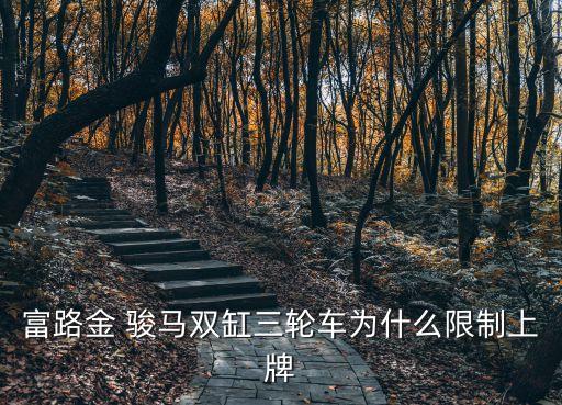 富路金 骏马双缸三轮车为什么限制上牌