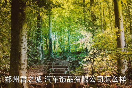 郑州君之诚 汽车饰品有限公司怎么样