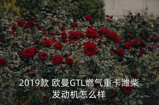 2019款 欧曼GTL燃气重卡潍柴发动机怎么样