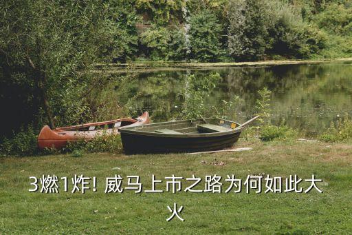 3燃1炸! 威马上市之路为何如此大火