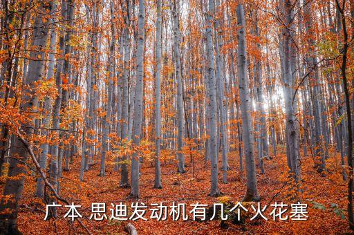 广本 思迪发动机有几个火花塞