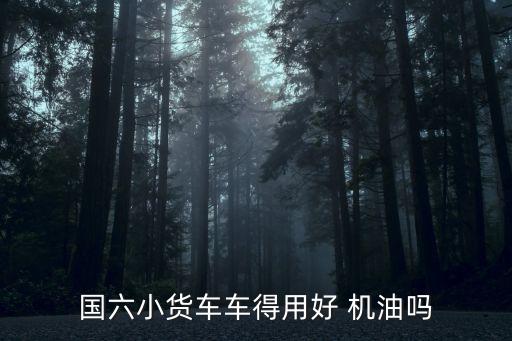 国六小货车车得用好 机油吗
