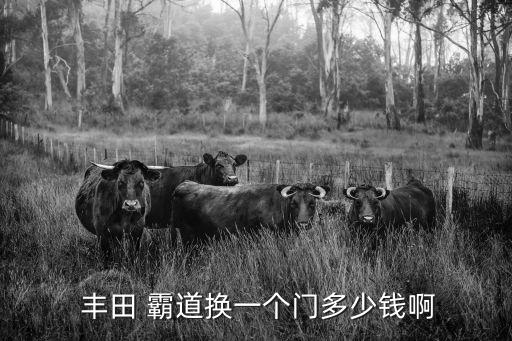  丰田 霸道换一个门多少钱啊