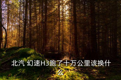  北汽 幻速H3跑了十万公里该换什么