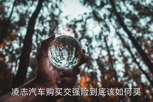 凌志汽车购买交强险到底该如何买