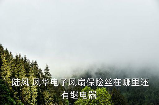  陆风 风华电子风扇保险丝在哪里还有继电器