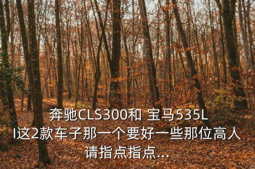  奔驰CLS300和 宝马535LI这2款车子那一个要好一些那位高人请指点指点...