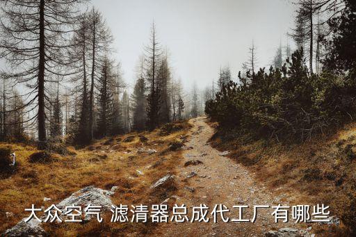大众空气 滤清器总成代工厂有哪些
