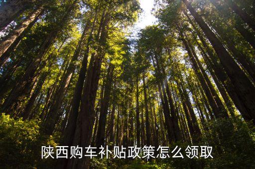 陕西购车补贴政策怎么领取